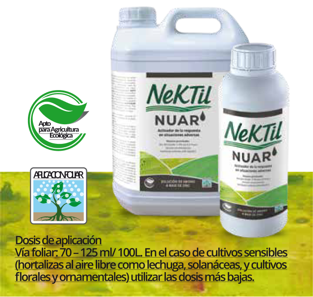NeKTil Nuar
